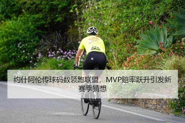 约什阿伦传球码数领跑联盟，MVP赔率跃升引发新赛季猜想